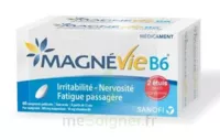 Magnevie B6 100 Mg/10 Mg Comprimés Pelliculés 2plq/60 (120) à SAINT-JEAN-DE-LA-RUELLE