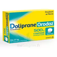 Dolipraneorodoz 500 Mg, Comprimé Orodispersible à SAINT-JEAN-DE-LA-RUELLE