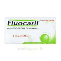 Fluocaril Bi-fluoré 250 Mg Pâte Dentifrice Menthe 2t/125ml à SAINT-JEAN-DE-LA-RUELLE