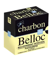 Charbon De Belloc 125 Mg Caps Molle B/60 à SAINT-JEAN-DE-LA-RUELLE